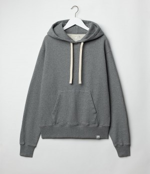 Grey Merz B. Schwanen HD31 Men Hoodie | MERZ4769380